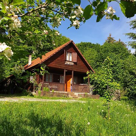Casa Lacramioara Sîmbăta de Sus 外观 照片