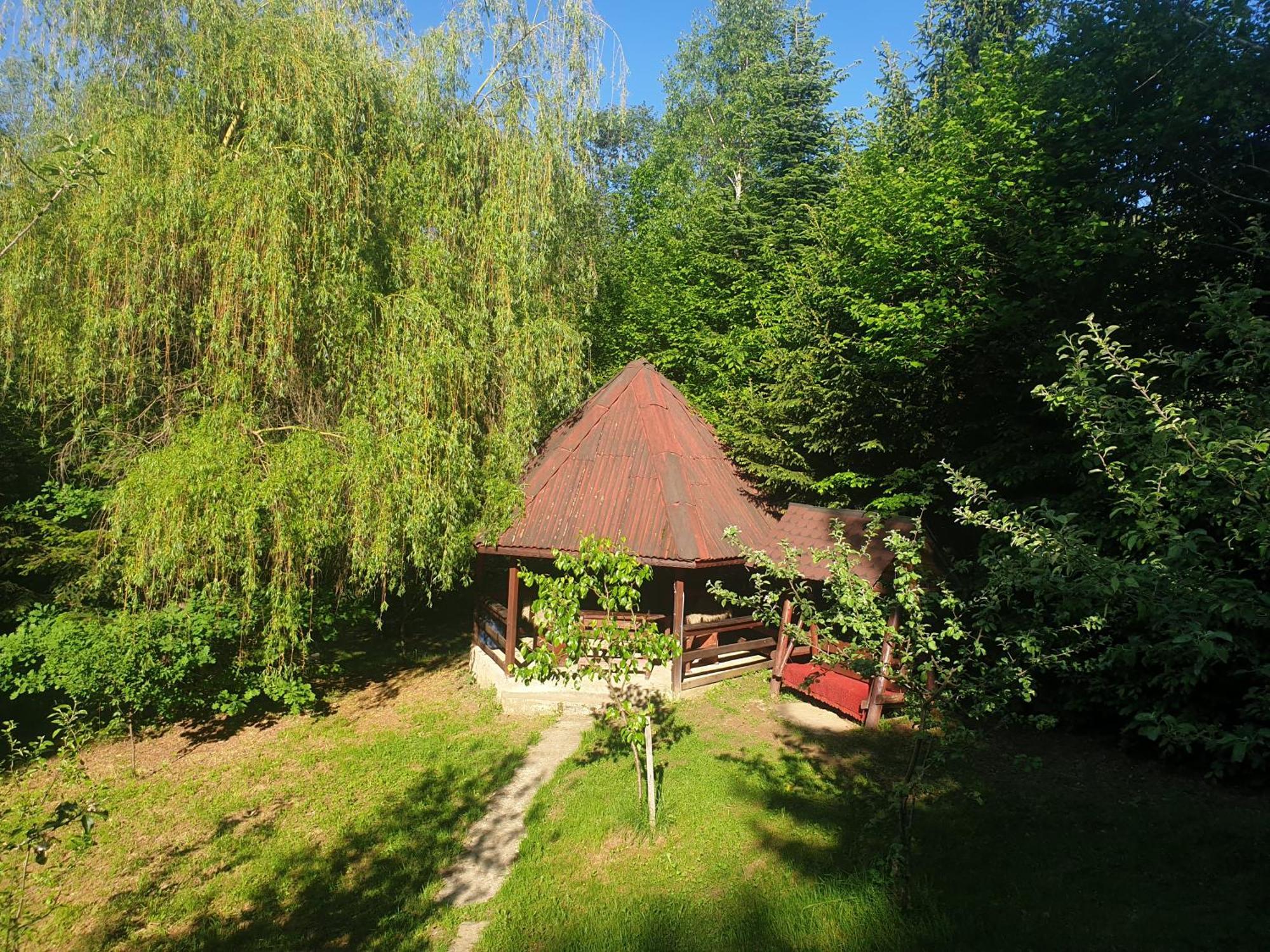 Casa Lacramioara Sîmbăta de Sus 外观 照片