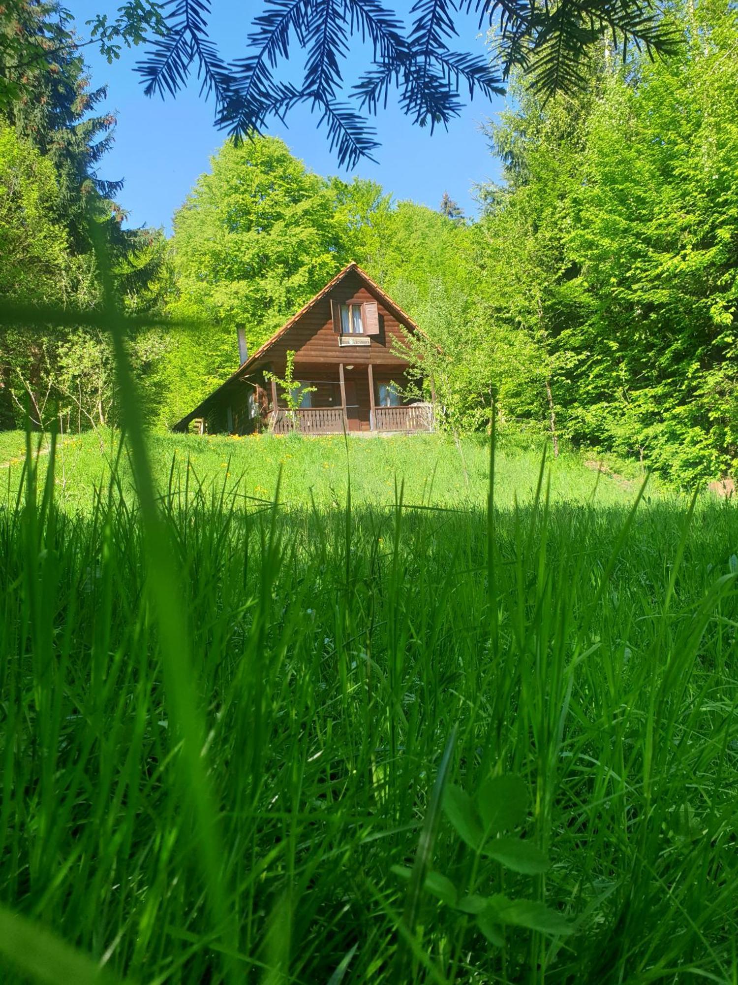Casa Lacramioara Sîmbăta de Sus 外观 照片