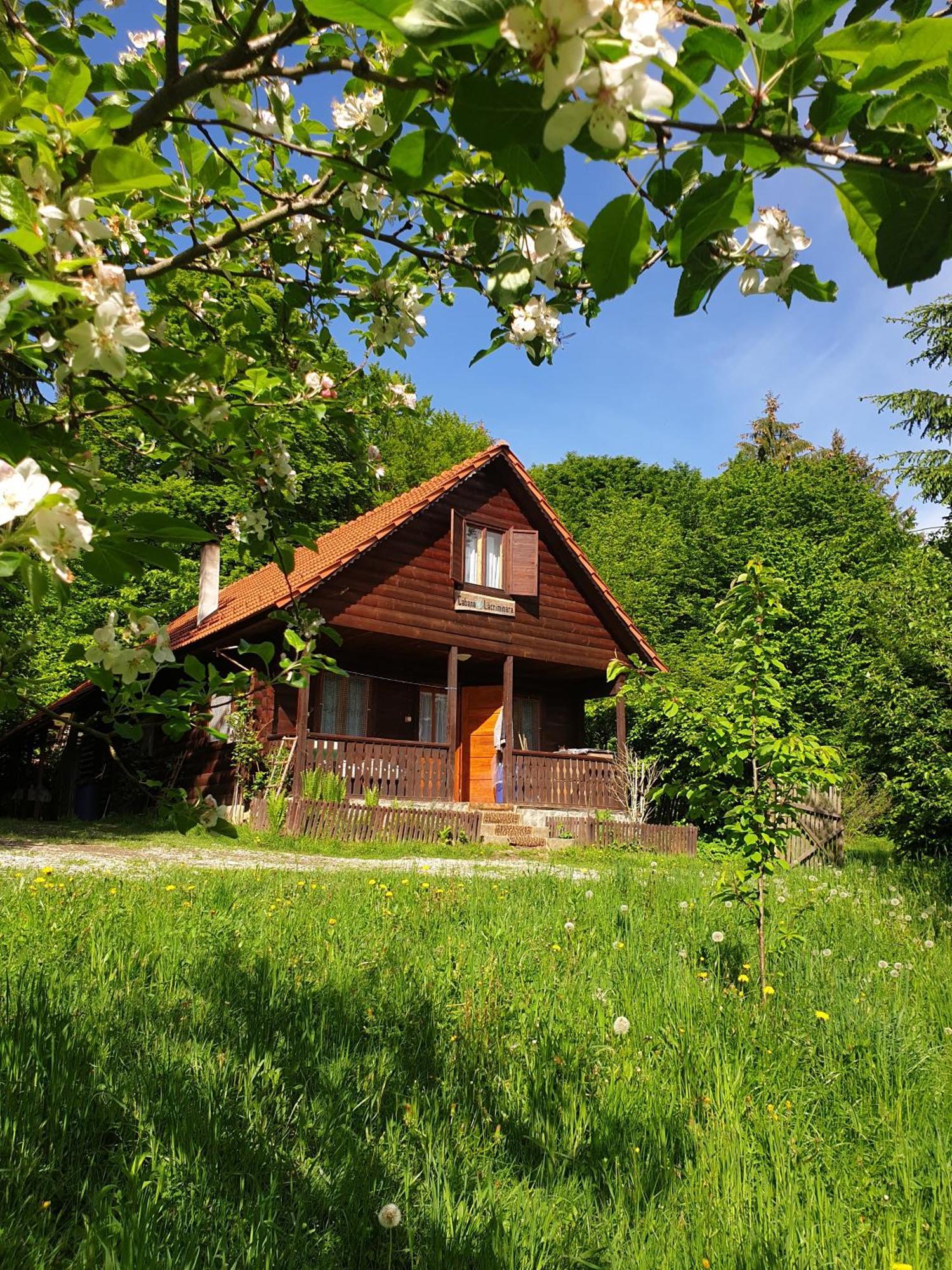 Casa Lacramioara Sîmbăta de Sus 外观 照片