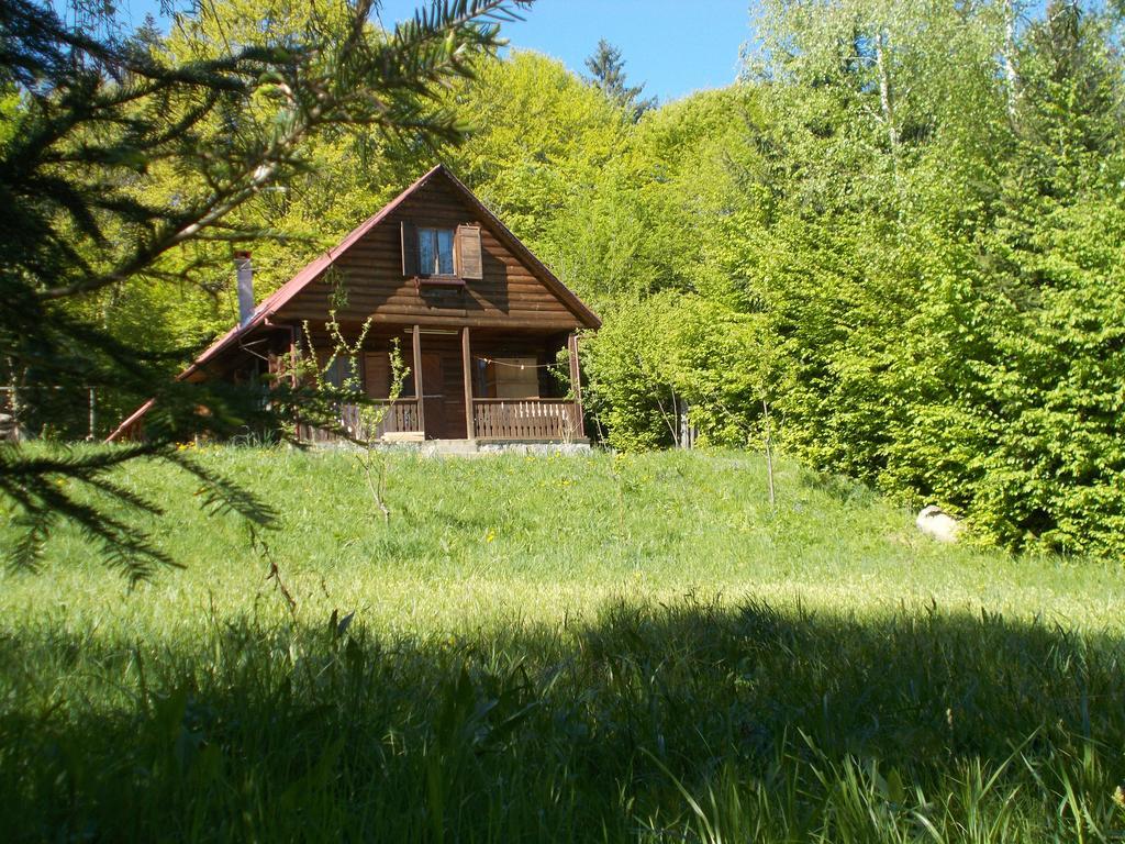 Casa Lacramioara Sîmbăta de Sus 外观 照片